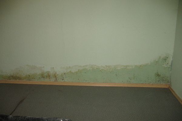 Parisek saniert - Bild 6