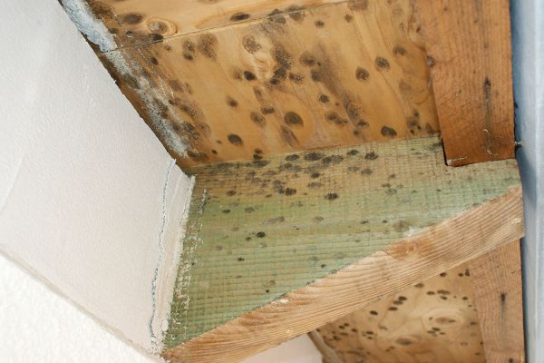 Parisek saniert - Bild 4