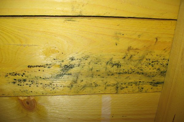 Parisek saniert - Bild 5