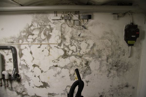 Parisek saniert - Bild 1